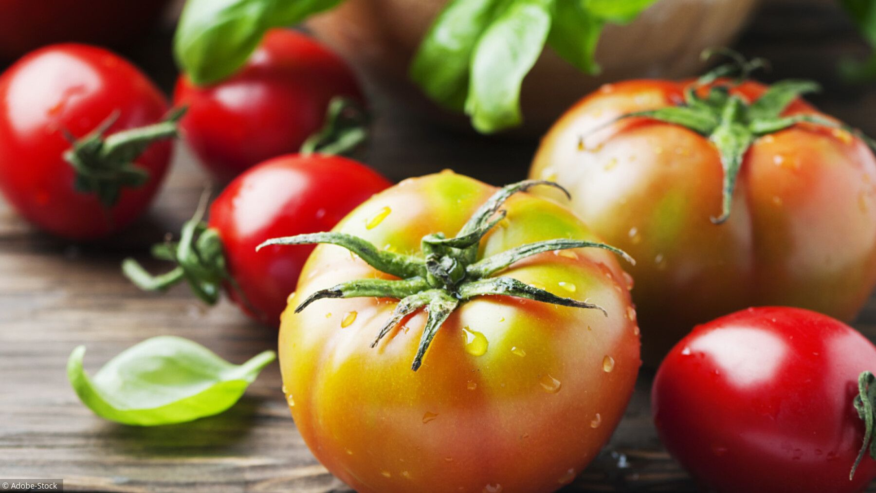 Le concentré de tomate : un allié santé ou un risque méconnu ?
